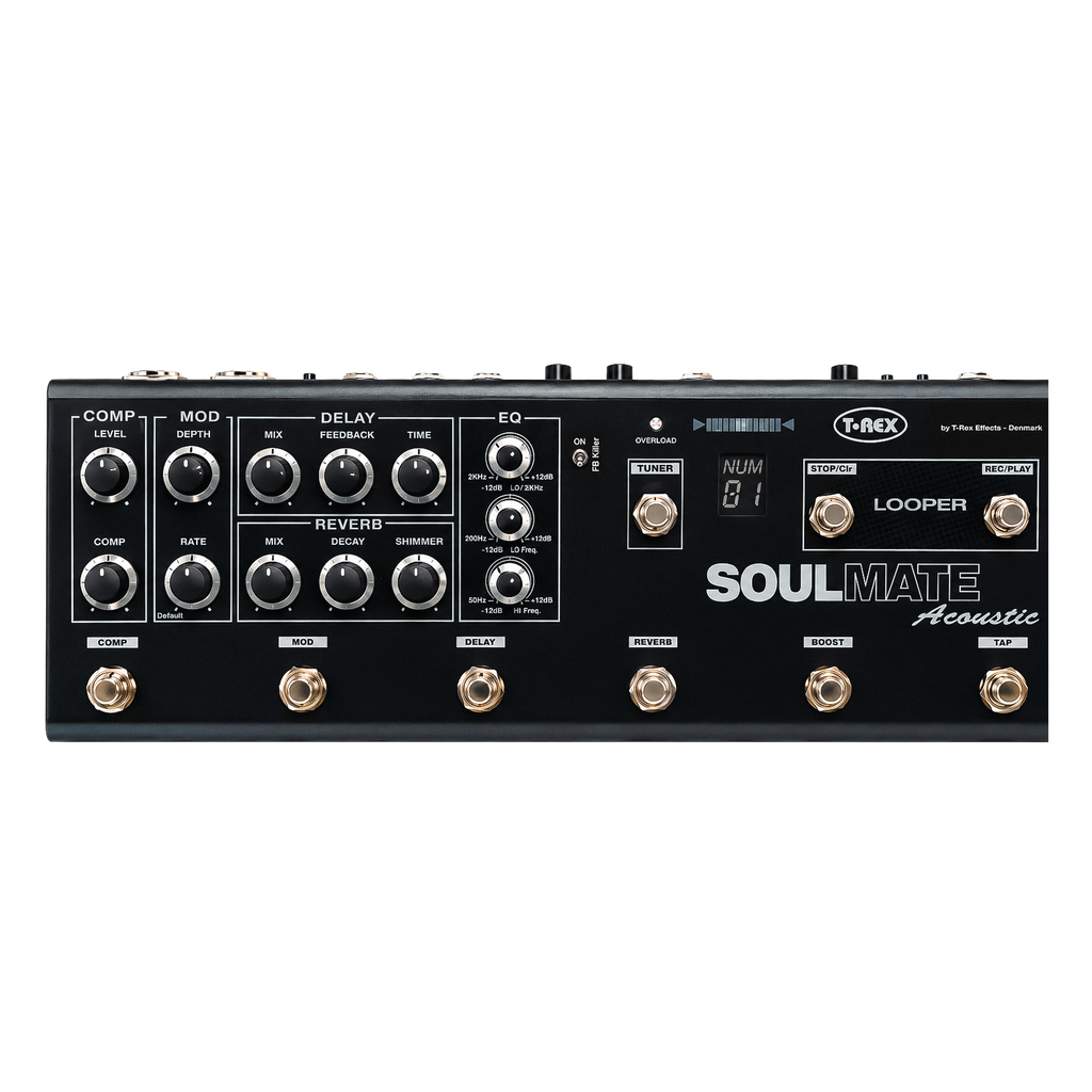 Soulmate Acoustic Pedal Board