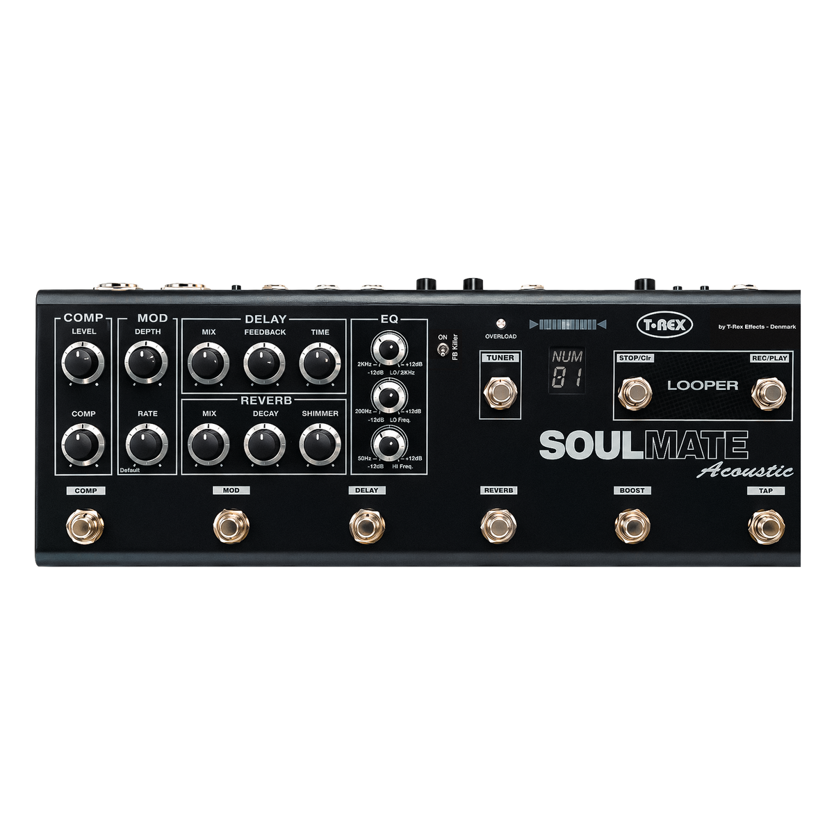 Soulmate Acoustic Pedal Board