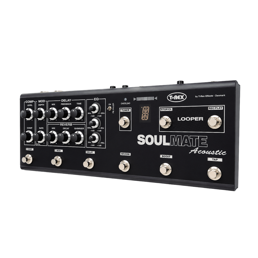 Soulmate Acoustic Pedal Board